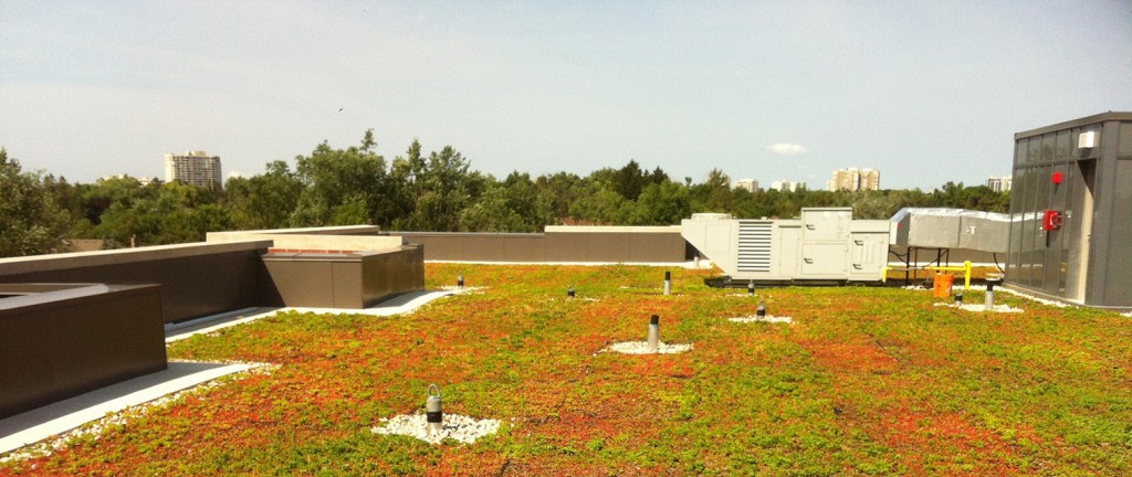 Green Roof to promote Maintenance