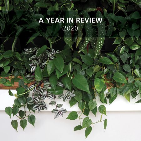 2020 a year in review