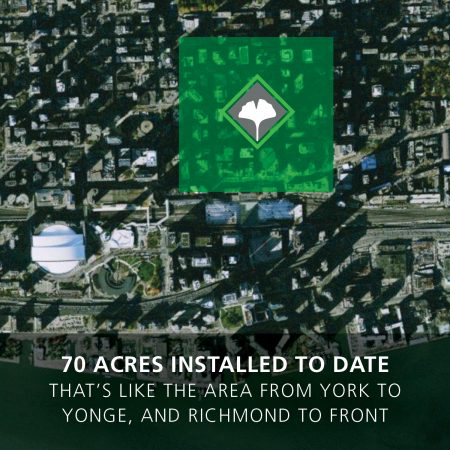 2020 green roof installations