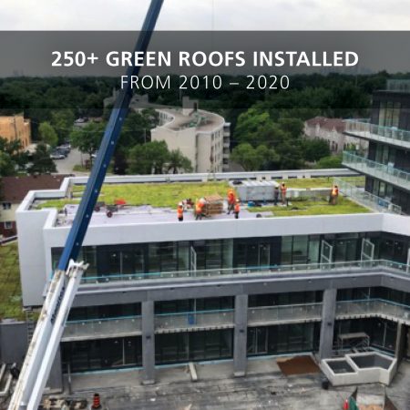 2020 green roof installations 