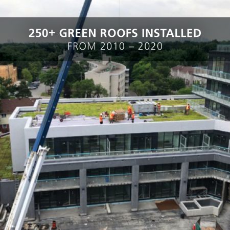 2020 green roof installations