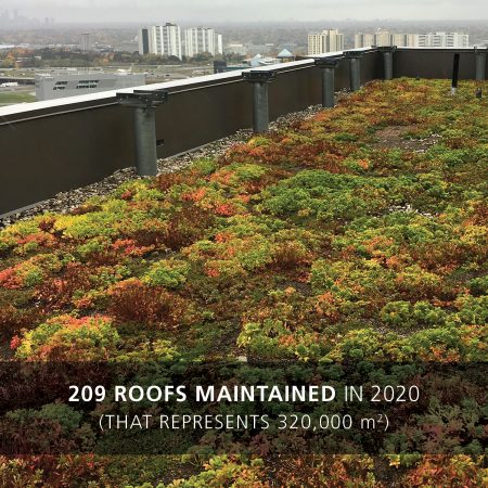 2020 green roof maintenance