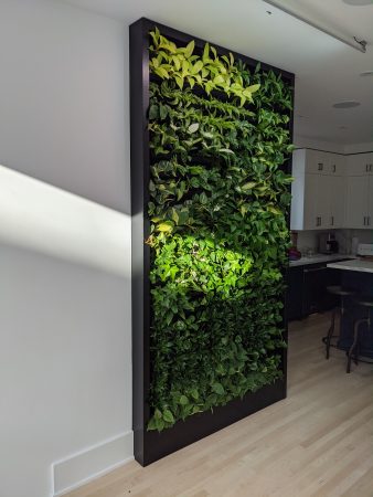 Versa wall living wall