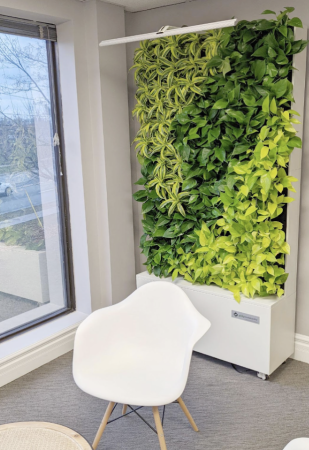Mobile Green Wall in an Office