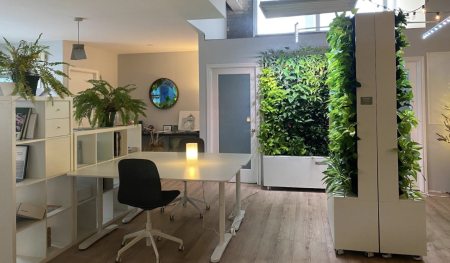 green walls in office