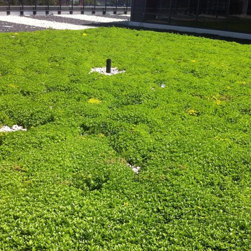 west-village-01